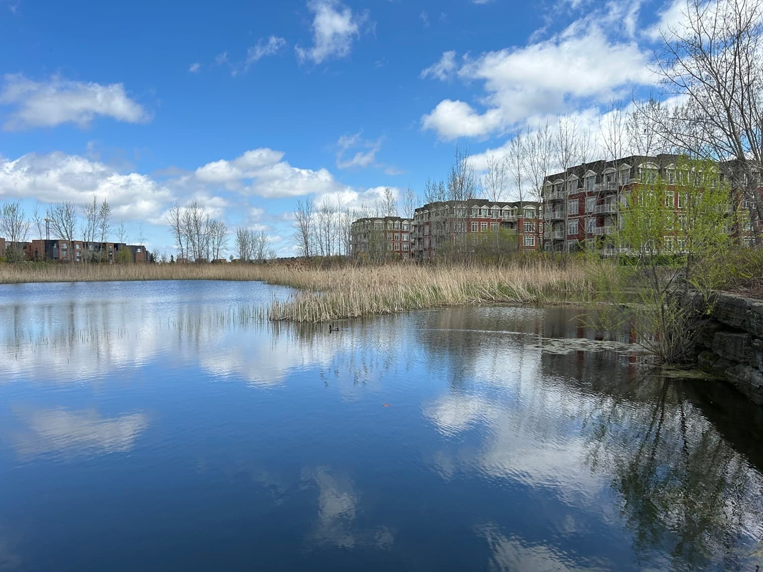 Bois-Franc / Saint-Laurent